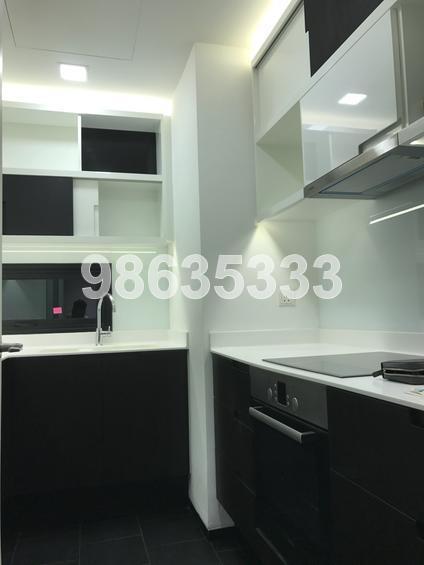 Village @ Pasir Panjang (D5), Condominium #135664862